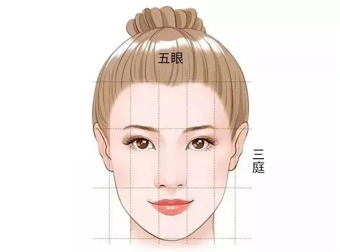 一般来说:   鼻子的构成,以及和其它五官形成的比例,越接近这些